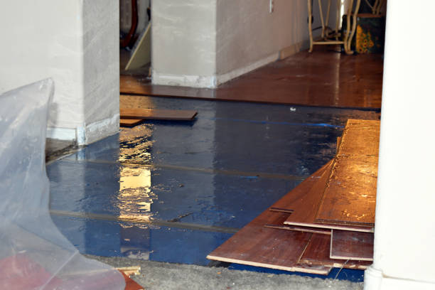 Professional Burst Pipe Water Damage technician working in Greeley, KS